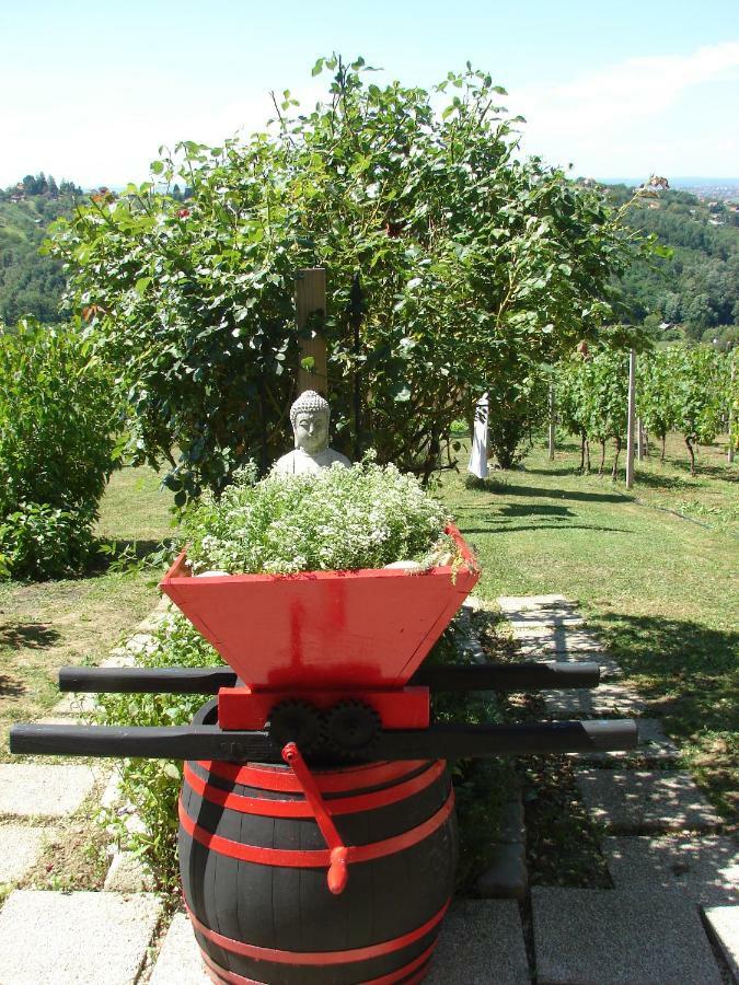 Vineyard Villa Maisonette Apartment With Balcony Varazdin Breg Esterno foto